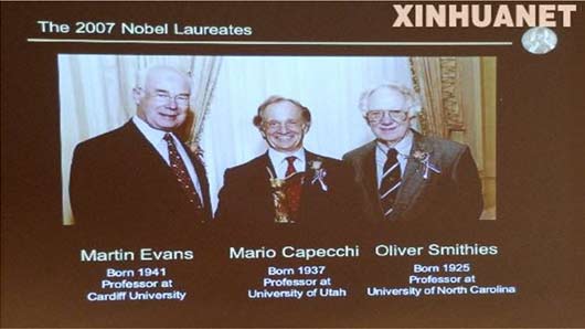 干細胞技術(shù)