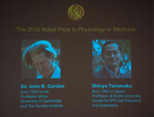 干細胞技術(shù)