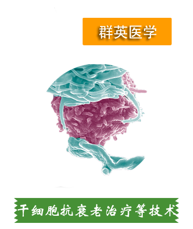干細(xì)胞抗衰老、肝細(xì)胞治療等技術(shù)