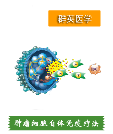 腫瘤細(xì)胞自體免疫療法