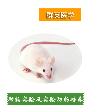 動(dòng)物實(shí)驗(yàn) 實(shí)驗(yàn)動(dòng)物培養(yǎng)