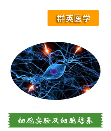 細(xì)胞實(shí)驗(yàn)、細(xì)胞培養(yǎng)