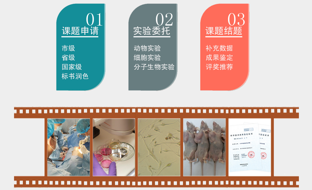 山東群英醫(yī)學(xué)研究有限公司科研實(shí)驗(yàn)服務(wù)項(xiàng)目