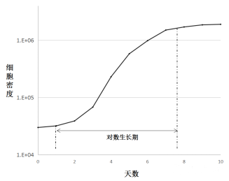 培養(yǎng)細(xì)胞的典型生長模式圖