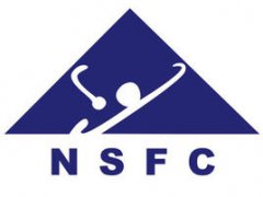 基因信息傳遞過程中非編碼RNA的調(diào)控作用機制重大研究計劃2017年度項目指南