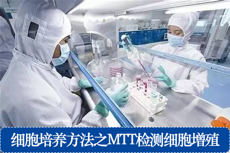 細(xì)胞培養(yǎng)方法之MTT檢測(cè)細(xì)胞增殖