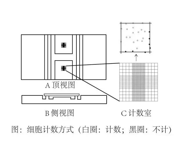細胞培養(yǎng)方法之細胞計數(shù)