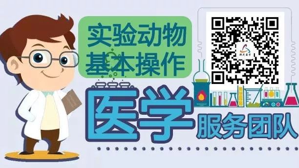 實(shí)驗(yàn)動物視頻教程系列：大鼠抓取技巧